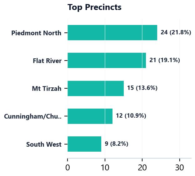 Top Precincts
